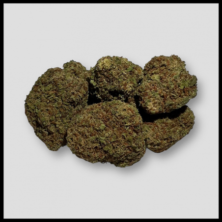 Bubble Gum