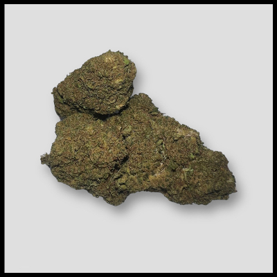 Gelato