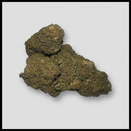 Gelato