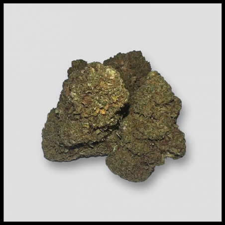 Ak 47